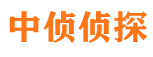 文圣寻人公司